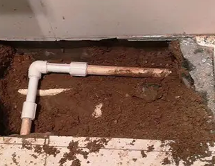 肇东测漏水哪家好