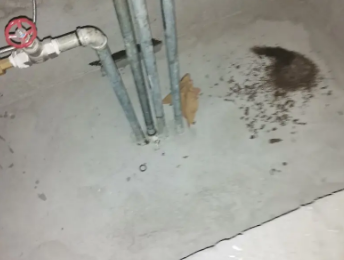 肇东卫生间测漏水价格明细