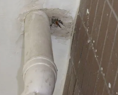 肇东漏水检测哪家好